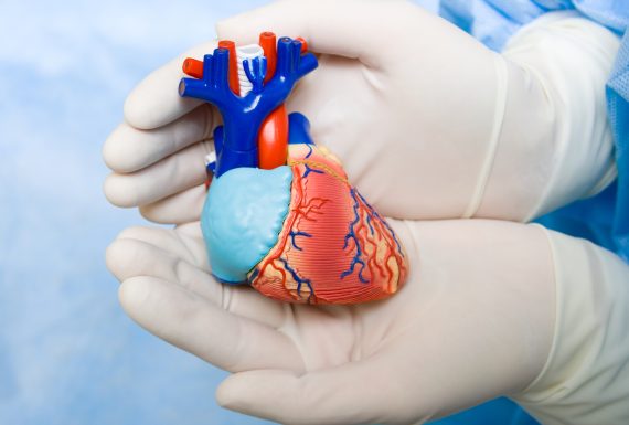 CARDIOLOGY